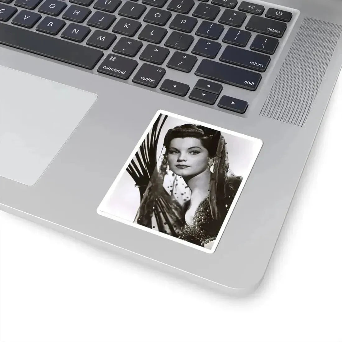 Debra Paget #182 (Vintage Female Icon) STICKER Vinyl Kiss-Cut Decal - The Sticker Space
