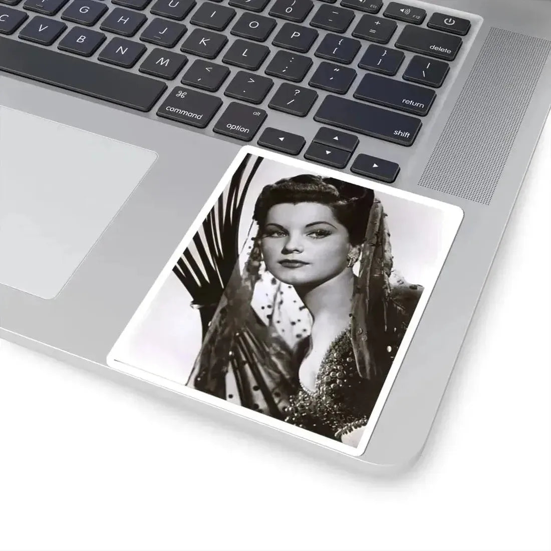 Debra Paget #182 (Vintage Female Icon) STICKER Vinyl Kiss-Cut Decal - The Sticker Space