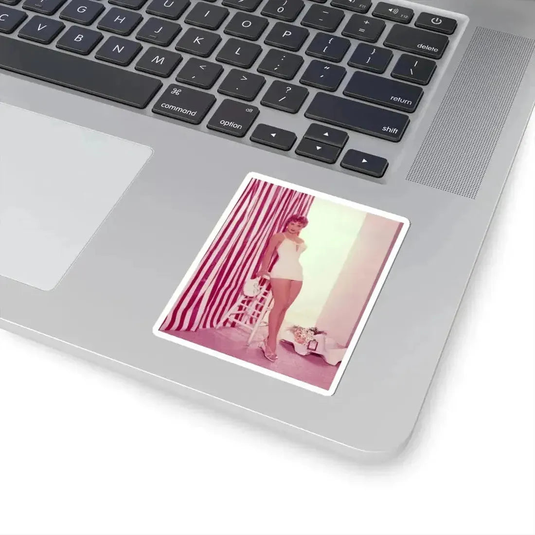 Debra Paget #193 (Vintage Female Icon) STICKER Vinyl Kiss-Cut Decal - The Sticker Space