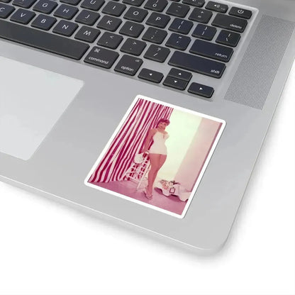 Debra Paget #193 (Vintage Female Icon) STICKER Vinyl Kiss-Cut Decal - The Sticker Space