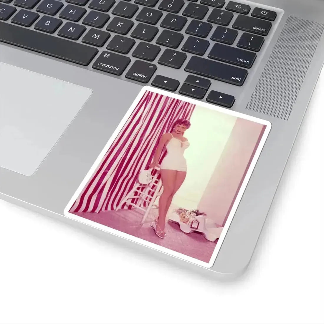 Debra Paget #193 (Vintage Female Icon) STICKER Vinyl Kiss-Cut Decal - The Sticker Space