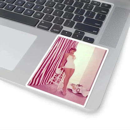 Debra Paget #193 (Vintage Female Icon) STICKER Vinyl Kiss-Cut Decal - The Sticker Space