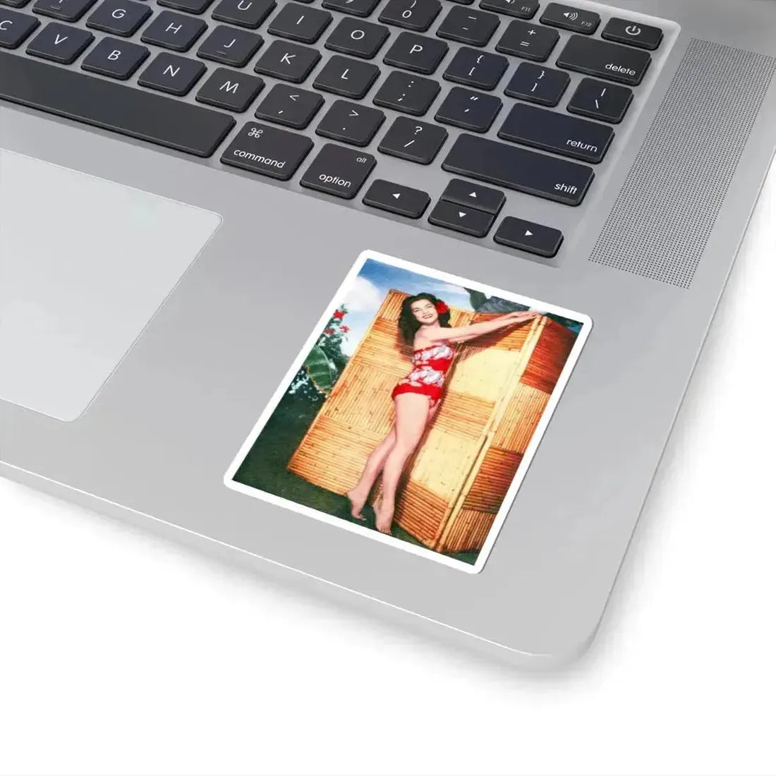 Debra Paget #239 (Vintage Female Icon) STICKER Vinyl Kiss-Cut Decal - The Sticker Space