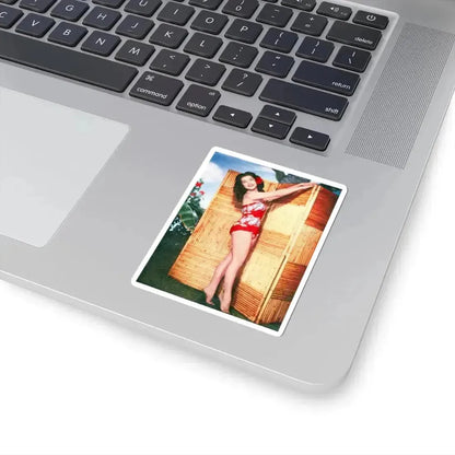 Debra Paget #239 (Vintage Female Icon) STICKER Vinyl Kiss-Cut Decal - The Sticker Space