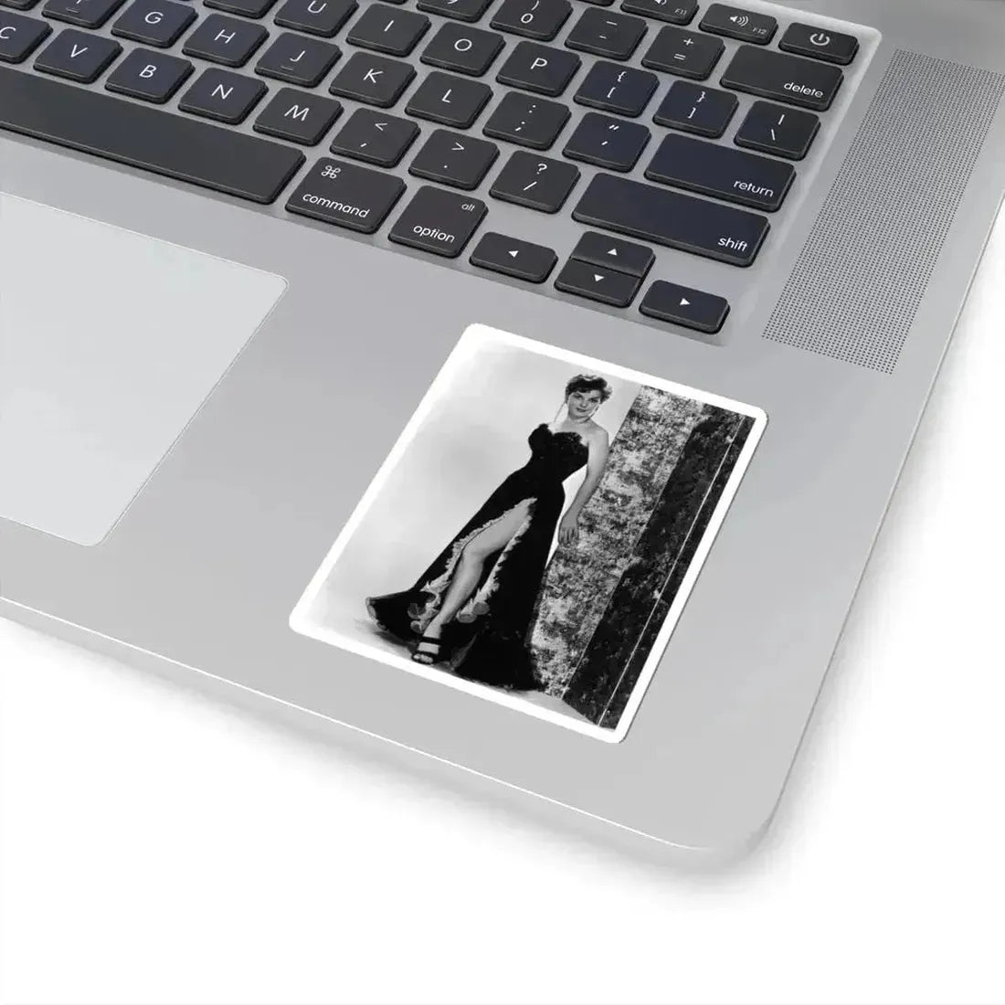 Debra Paget #247 (Vintage Female Icon) STICKER Vinyl Kiss-Cut Decal - The Sticker Space