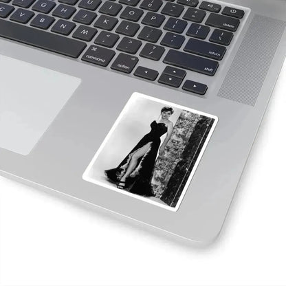 Debra Paget #247 (Vintage Female Icon) STICKER Vinyl Kiss-Cut Decal - The Sticker Space