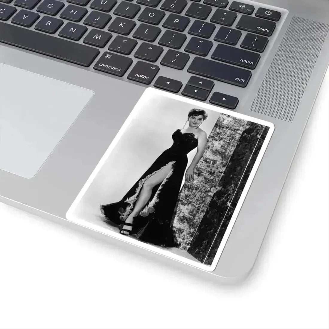 Debra Paget #247 (Vintage Female Icon) STICKER Vinyl Kiss-Cut Decal - The Sticker Space