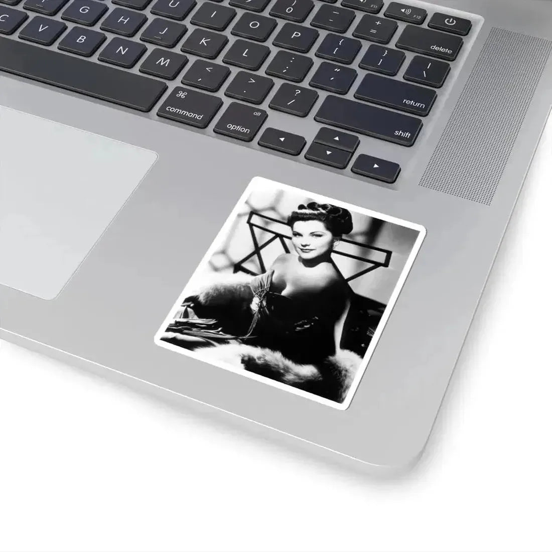 Debra Paget #254 (Vintage Female Icon) STICKER Vinyl Kiss-Cut Decal - The Sticker Space