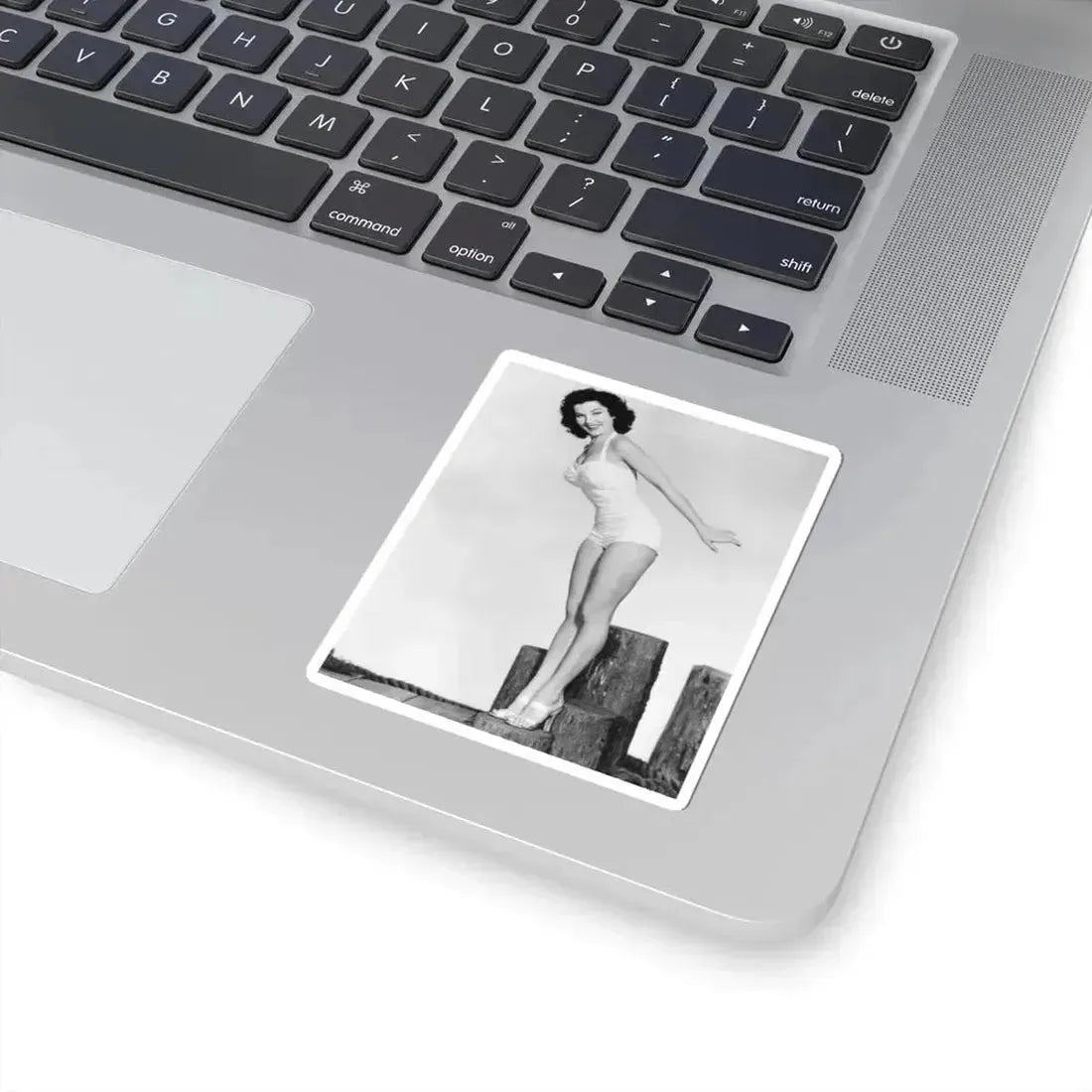 Debra Paget #265 (Vintage Female Icon) STICKER Vinyl Kiss-Cut Decal - The Sticker Space