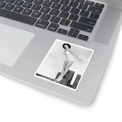 Debra Paget #265 (Vintage Female Icon) STICKER Vinyl Kiss-Cut Decal - The Sticker Space