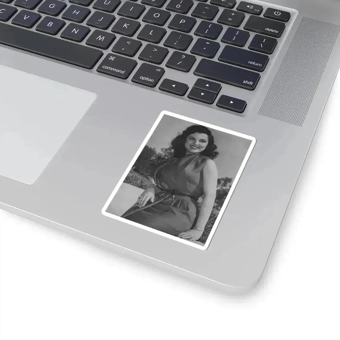 Debra Paget #306 (Vintage Female Icon) STICKER Vinyl Kiss-Cut Decal - The Sticker Space