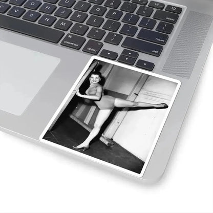 Debra Paget #316 (Vintage Female Icon) STICKER Vinyl Kiss-Cut Decal - The Sticker Space