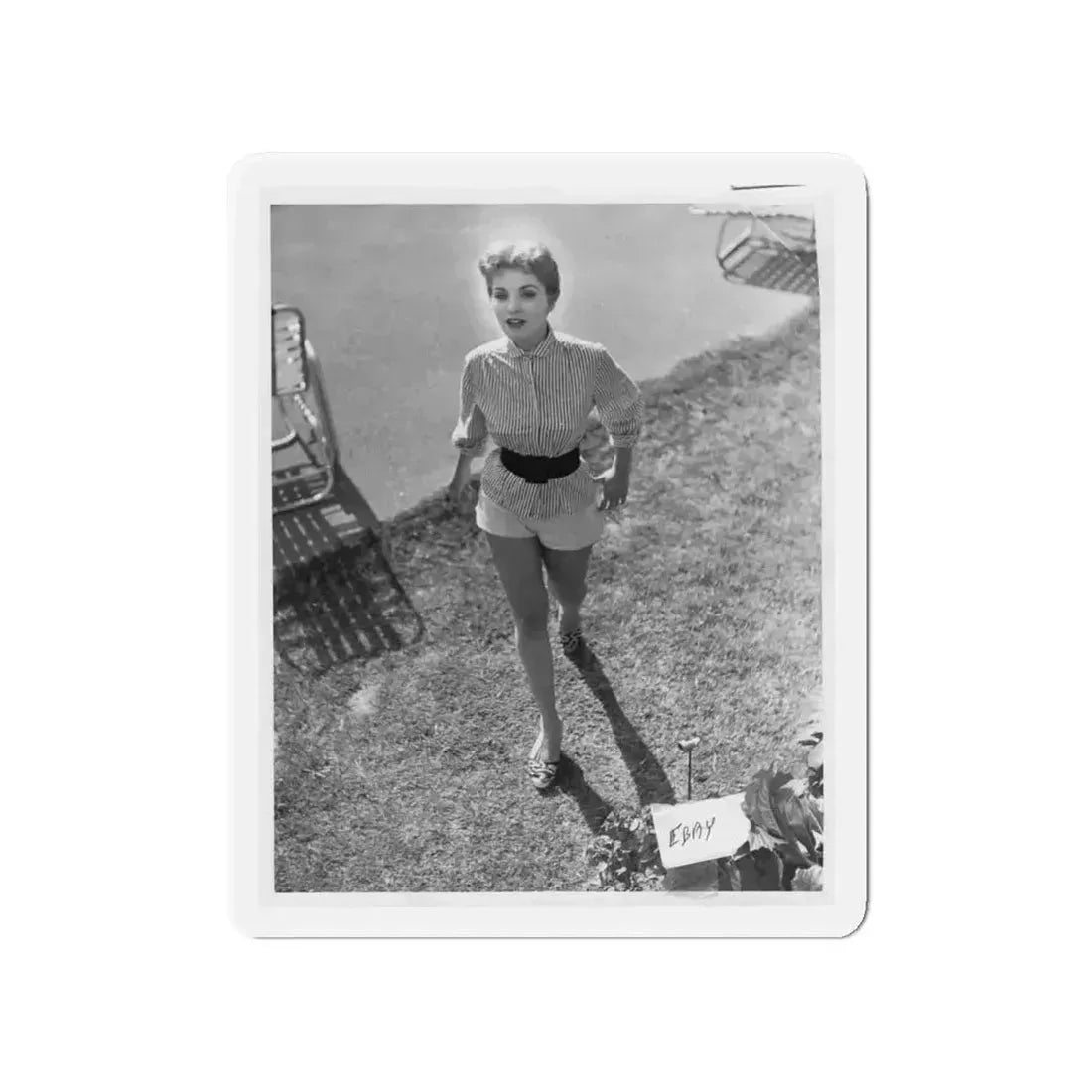 Debra Paget #317 (Vintage Female Icon) Refrigerator Magnet 4 Inch Die-Cut - The Sticker Space