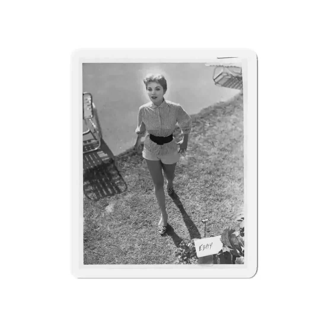 Debra Paget #317 (Vintage Female Icon) Refrigerator Magnet - The Sticker Space