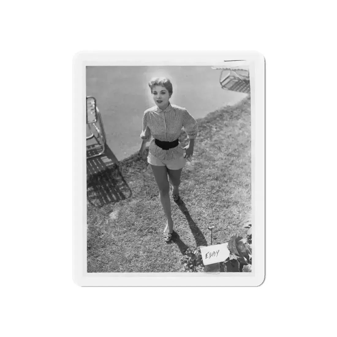 Debra Paget #317 (Vintage Female Icon) Refrigerator Magnet - The Sticker Space