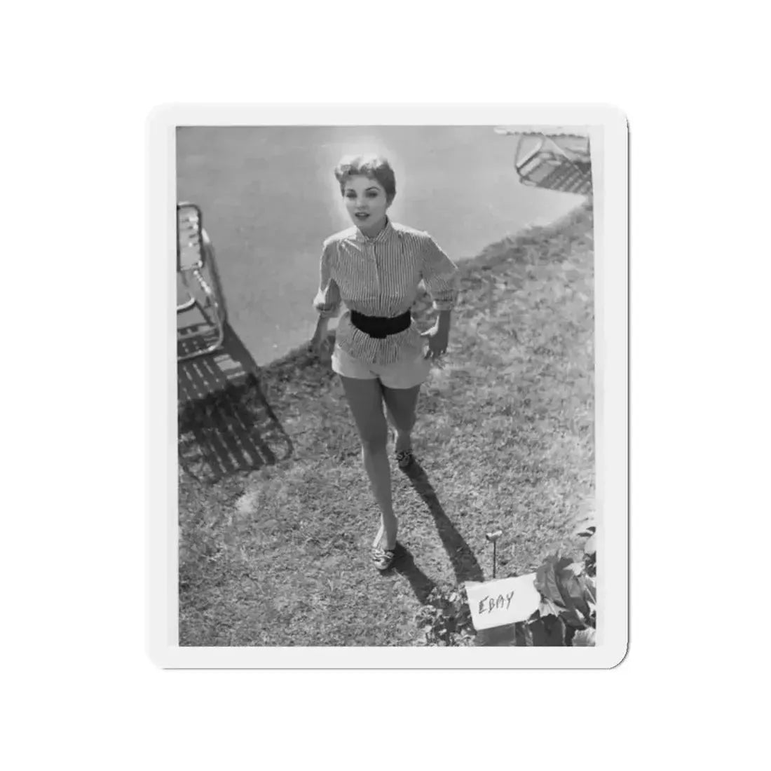 Debra Paget #317 (Vintage Female Icon) Refrigerator Magnet - The Sticker Space