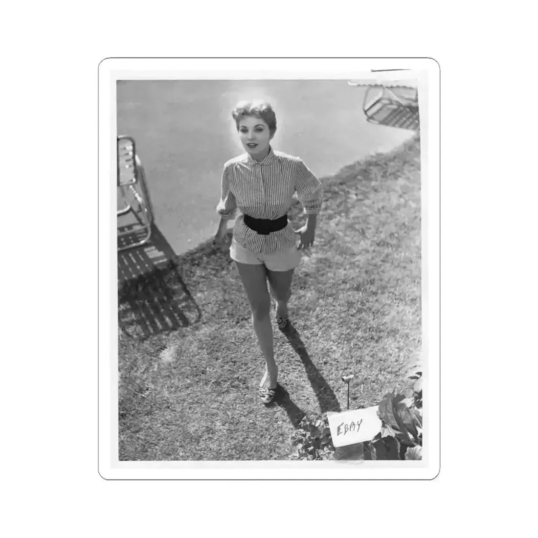 Debra Paget #317 (Vintage Female Icon) STICKER Vinyl Kiss-Cut Decal 4 Inch White - The Sticker Space