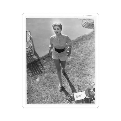 Debra Paget #317 (Vintage Female Icon) STICKER Vinyl Kiss-Cut Decal 6 Inch White - The Sticker Space