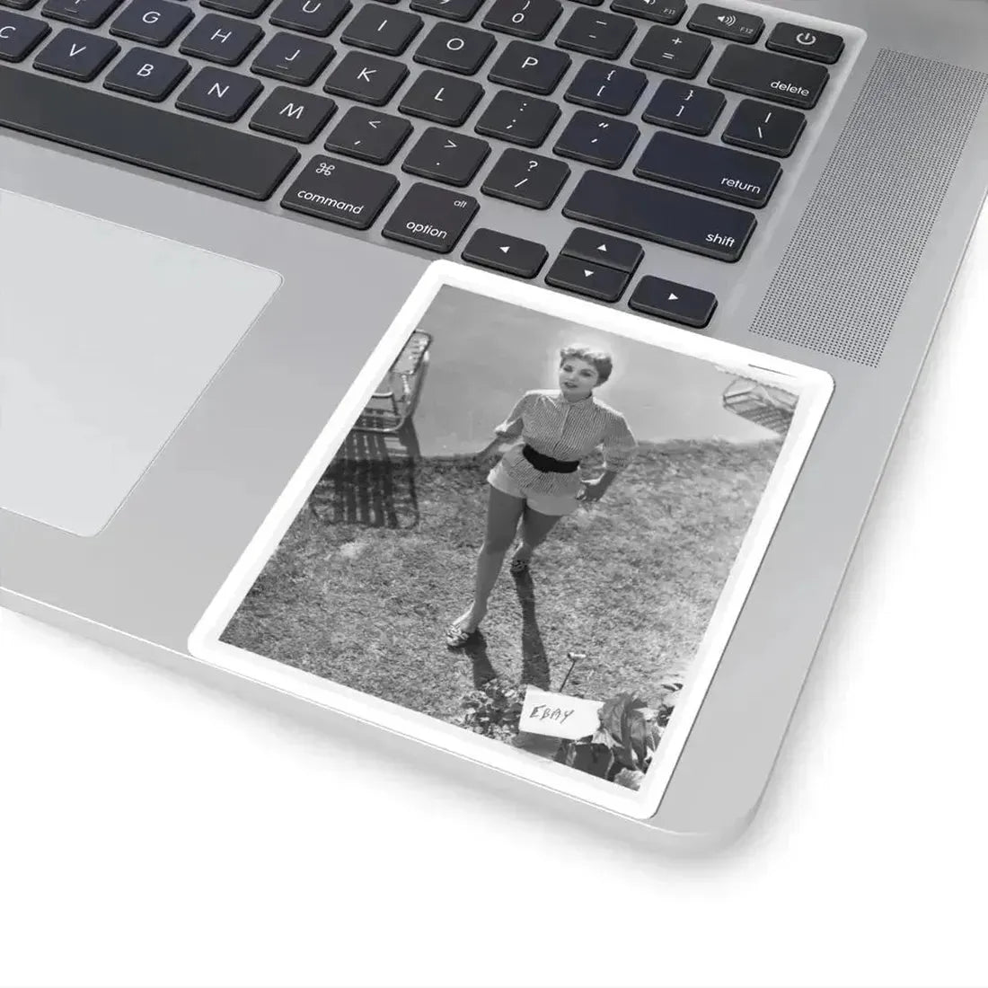 Debra Paget #317 (Vintage Female Icon) STICKER Vinyl Kiss-Cut Decal - The Sticker Space