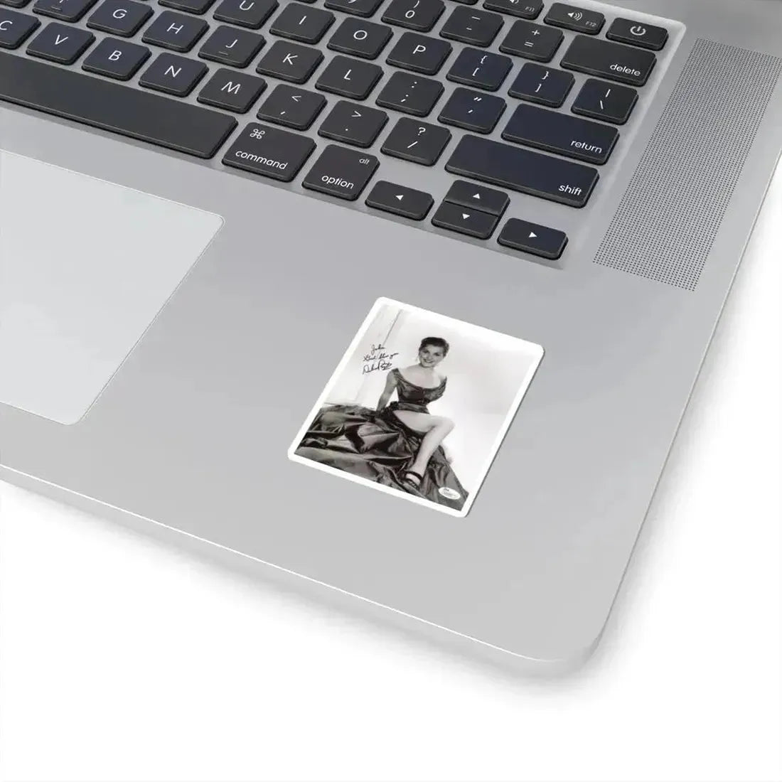 Debra Paget #339 (Vintage Female Icon) STICKER Vinyl Kiss-Cut Decal - The Sticker Space