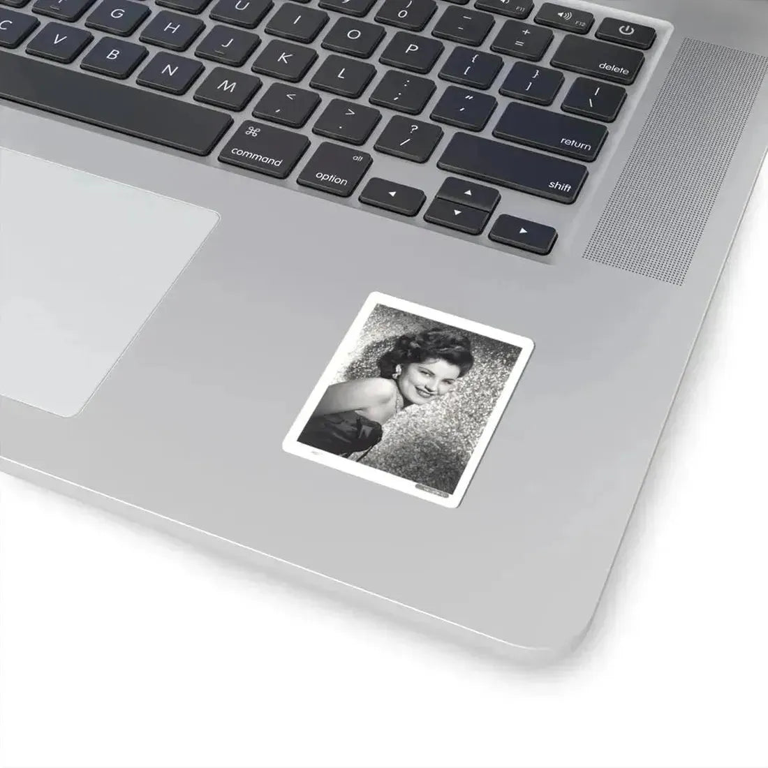 Debra Paget #343 (Vintage Female Icon) STICKER Vinyl Kiss-Cut Decal - The Sticker Space