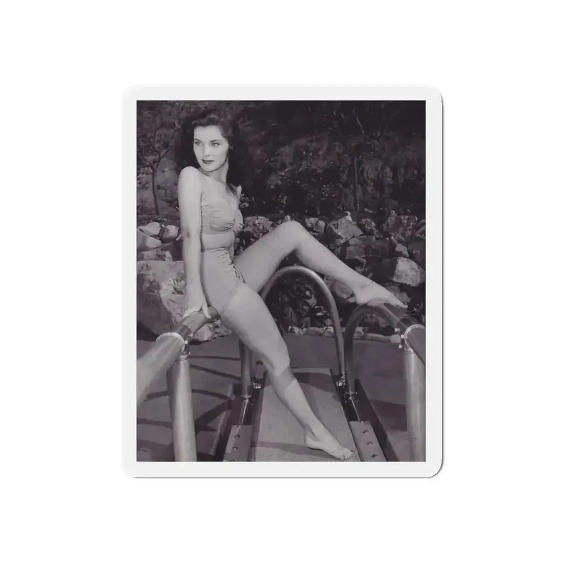 Debra Paget #356 (Vintage Female Icon) Refrigerator Magnet - The Sticker Space