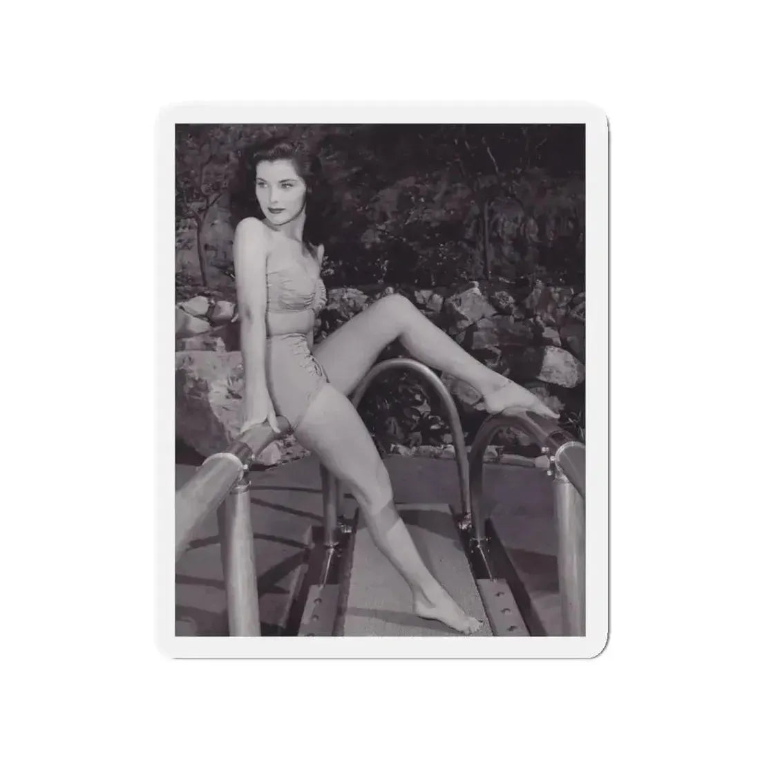 Debra Paget #356 (Vintage Female Icon) Refrigerator Magnet - The Sticker Space