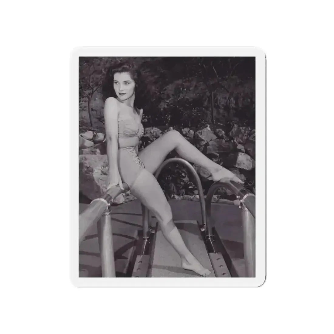 Debra Paget #356 (Vintage Female Icon) Refrigerator Magnet - The Sticker Space