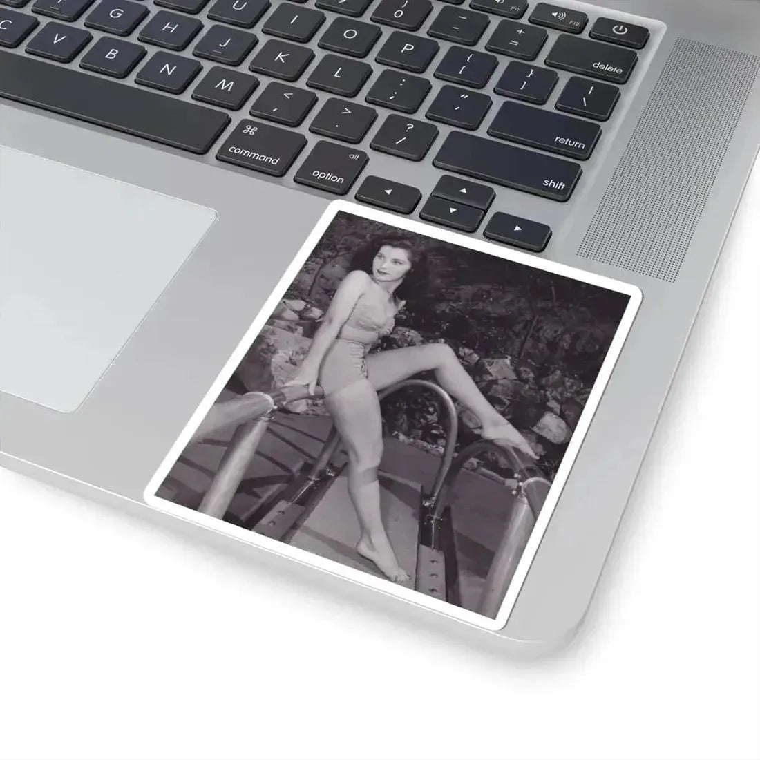 Debra Paget #356 (Vintage Female Icon) STICKER Vinyl Kiss-Cut Decal - The Sticker Space