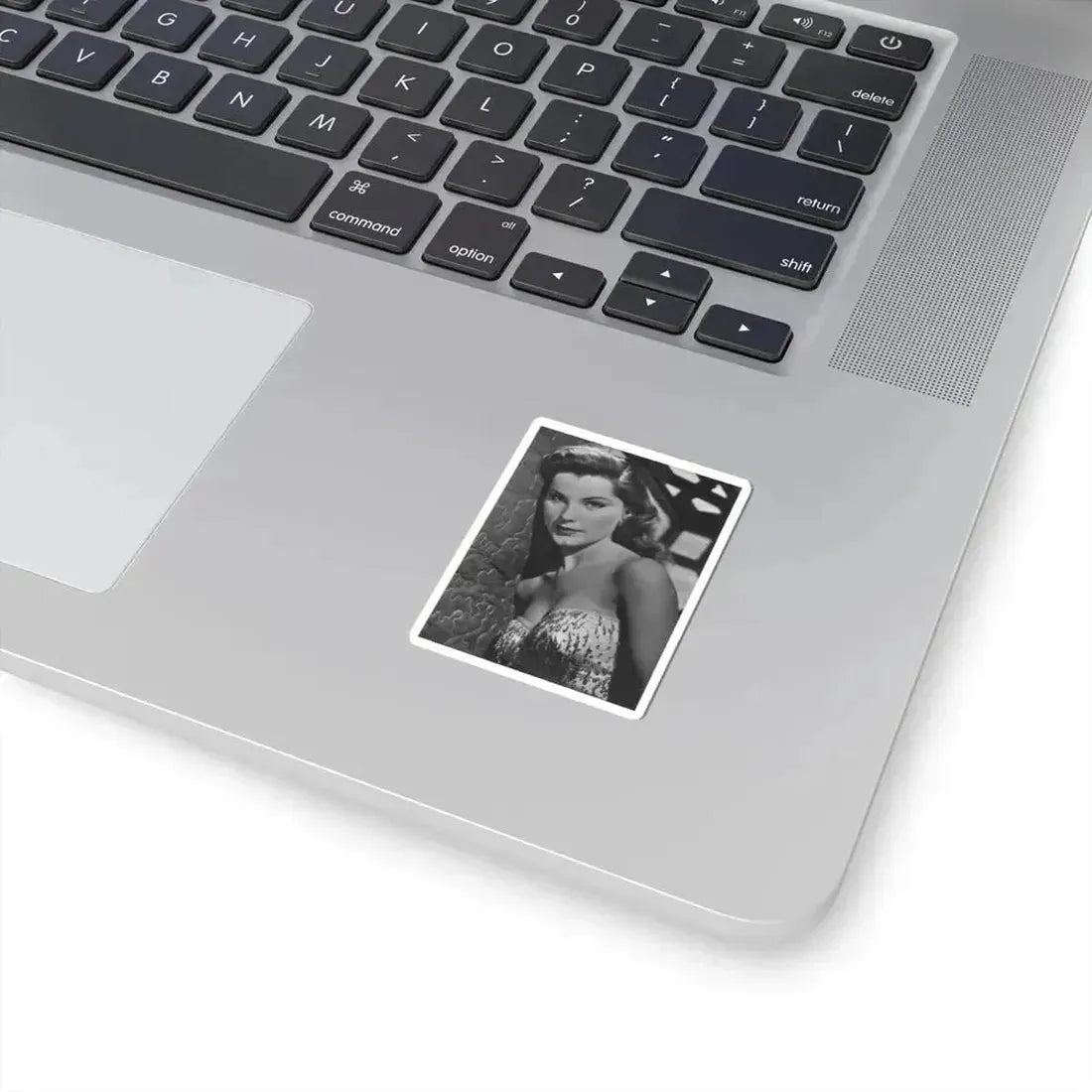 Debra Paget #357 (Vintage Female Icon) STICKER Vinyl Kiss-Cut Decal - The Sticker Space