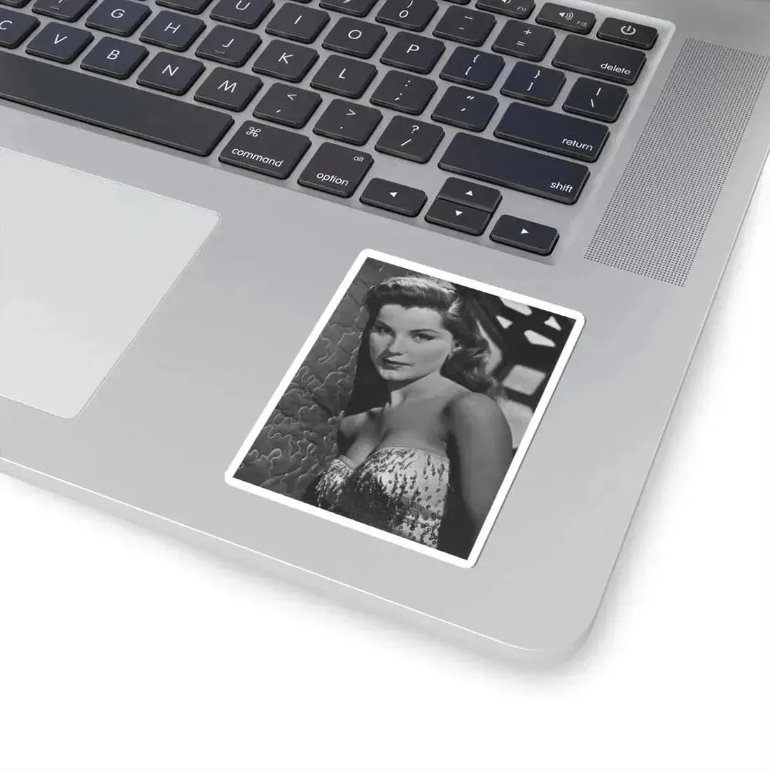Debra Paget #357 (Vintage Female Icon) STICKER Vinyl Kiss-Cut Decal - The Sticker Space
