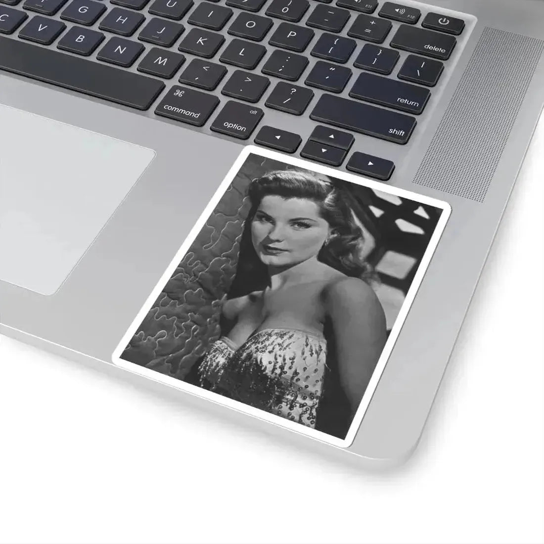 Debra Paget #357 (Vintage Female Icon) STICKER Vinyl Kiss-Cut Decal - The Sticker Space