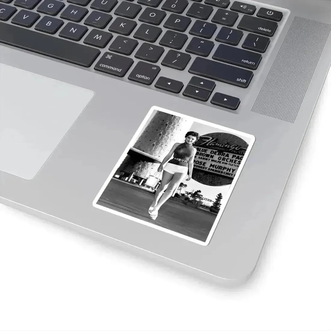 Debra Paget #371 (Vintage Female Icon) STICKER Vinyl Kiss-Cut Decal - The Sticker Space