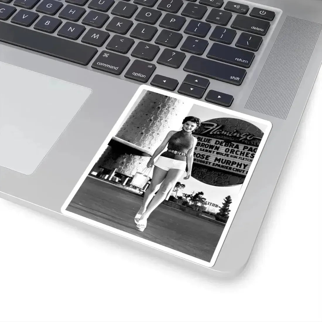 Debra Paget #371 (Vintage Female Icon) STICKER Vinyl Kiss-Cut Decal - The Sticker Space