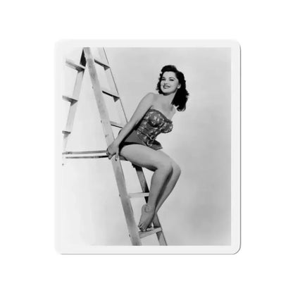 Debra Paget #377 3 (Vintage Female Icon) Refrigerator Magnet - The Sticker Space