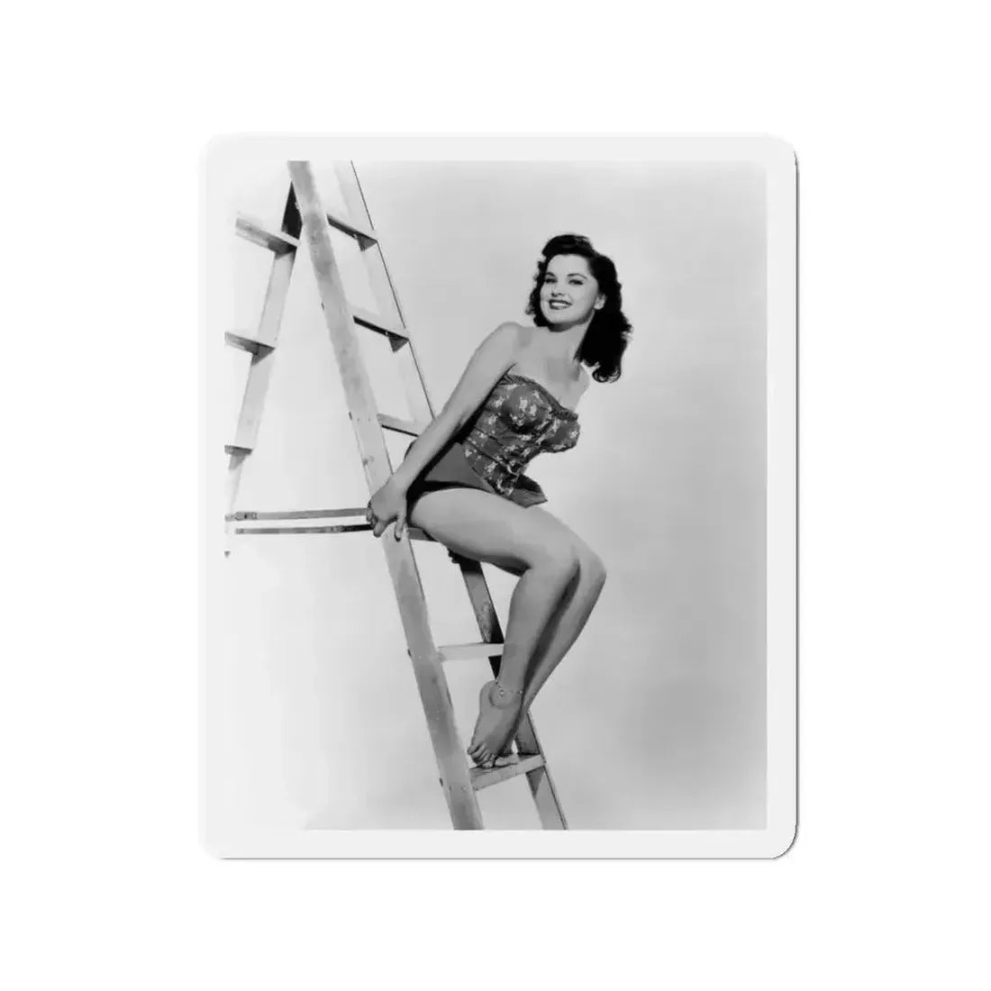 Debra Paget #377 3 (Vintage Female Icon) Refrigerator Magnet - The Sticker Space