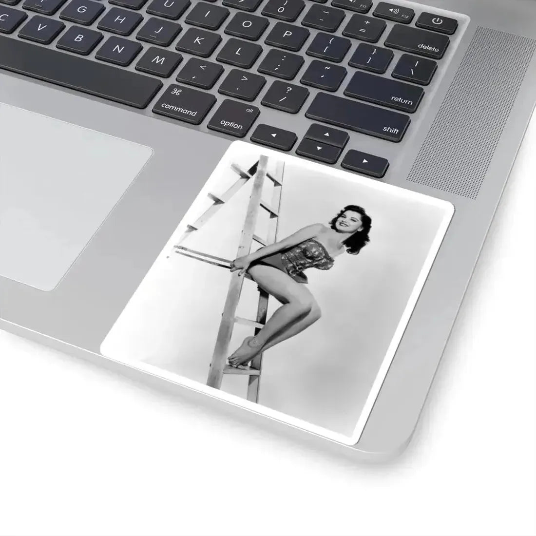 Debra Paget #377 3 (Vintage Female Icon) STICKER Vinyl Kiss-Cut Decal - The Sticker Space