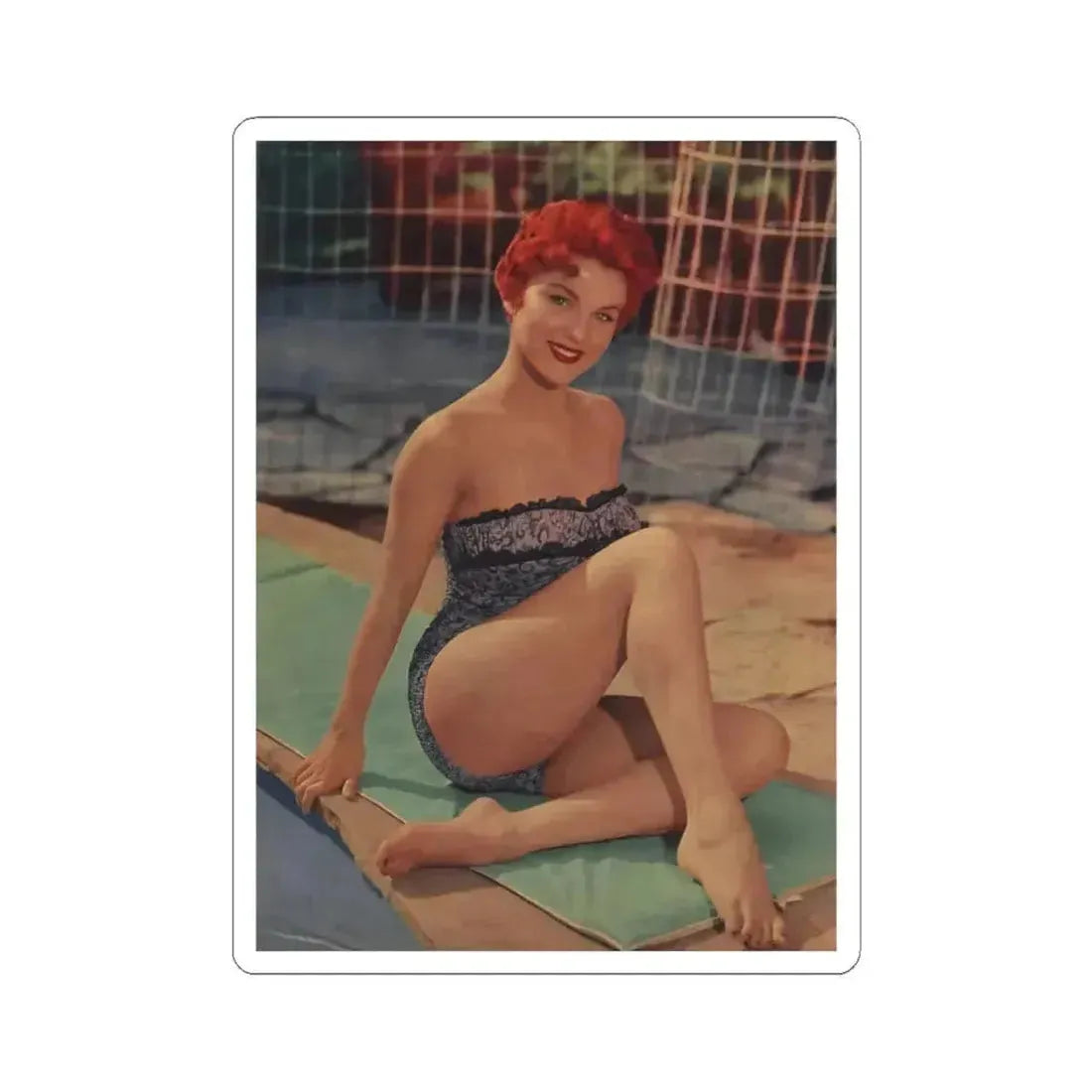Debra Paget #40 (Vintage Female Icon) STICKER Vinyl Kiss-Cut Decal 6 Inch White - The Sticker Space