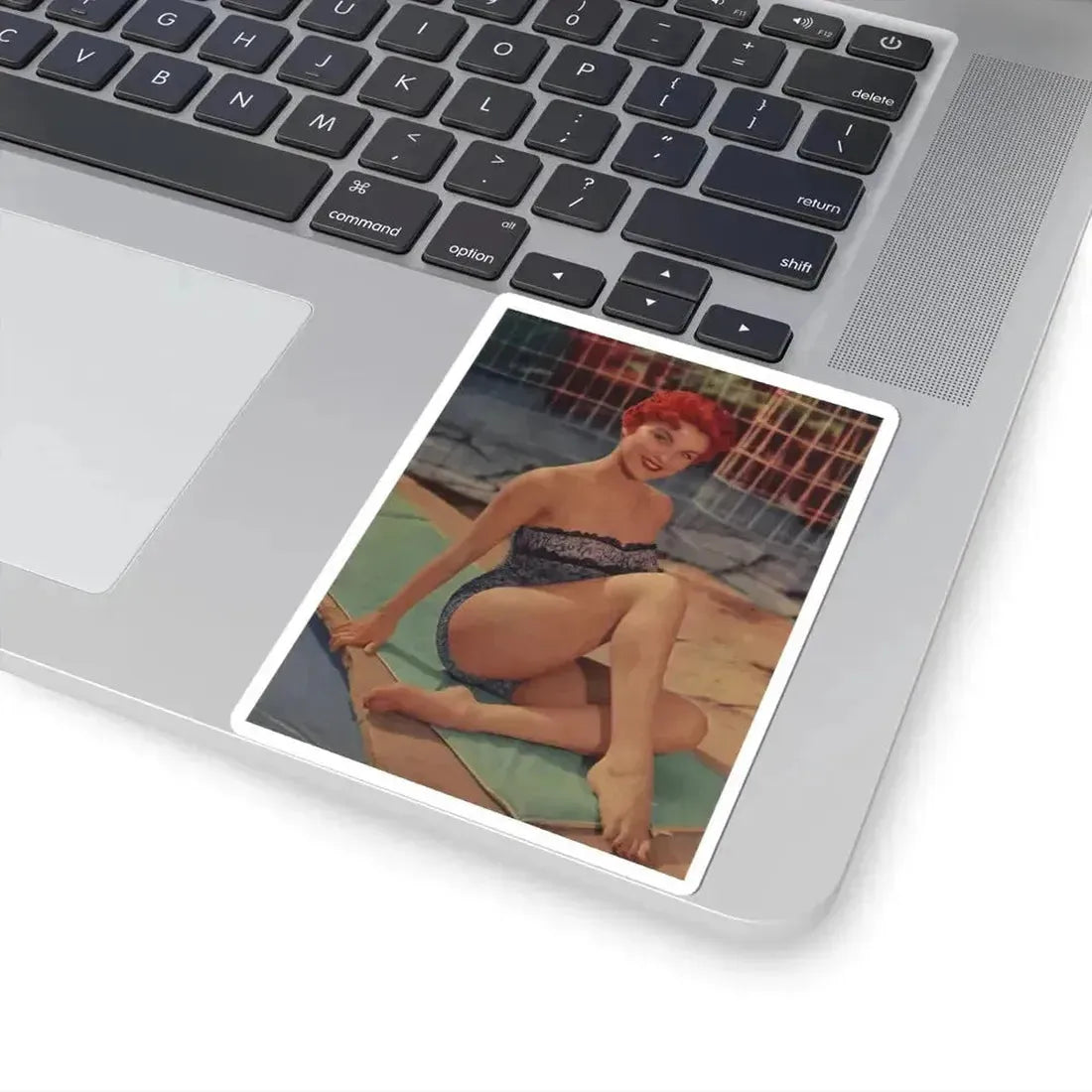 Debra Paget #40 (Vintage Female Icon) STICKER Vinyl Kiss-Cut Decal - The Sticker Space