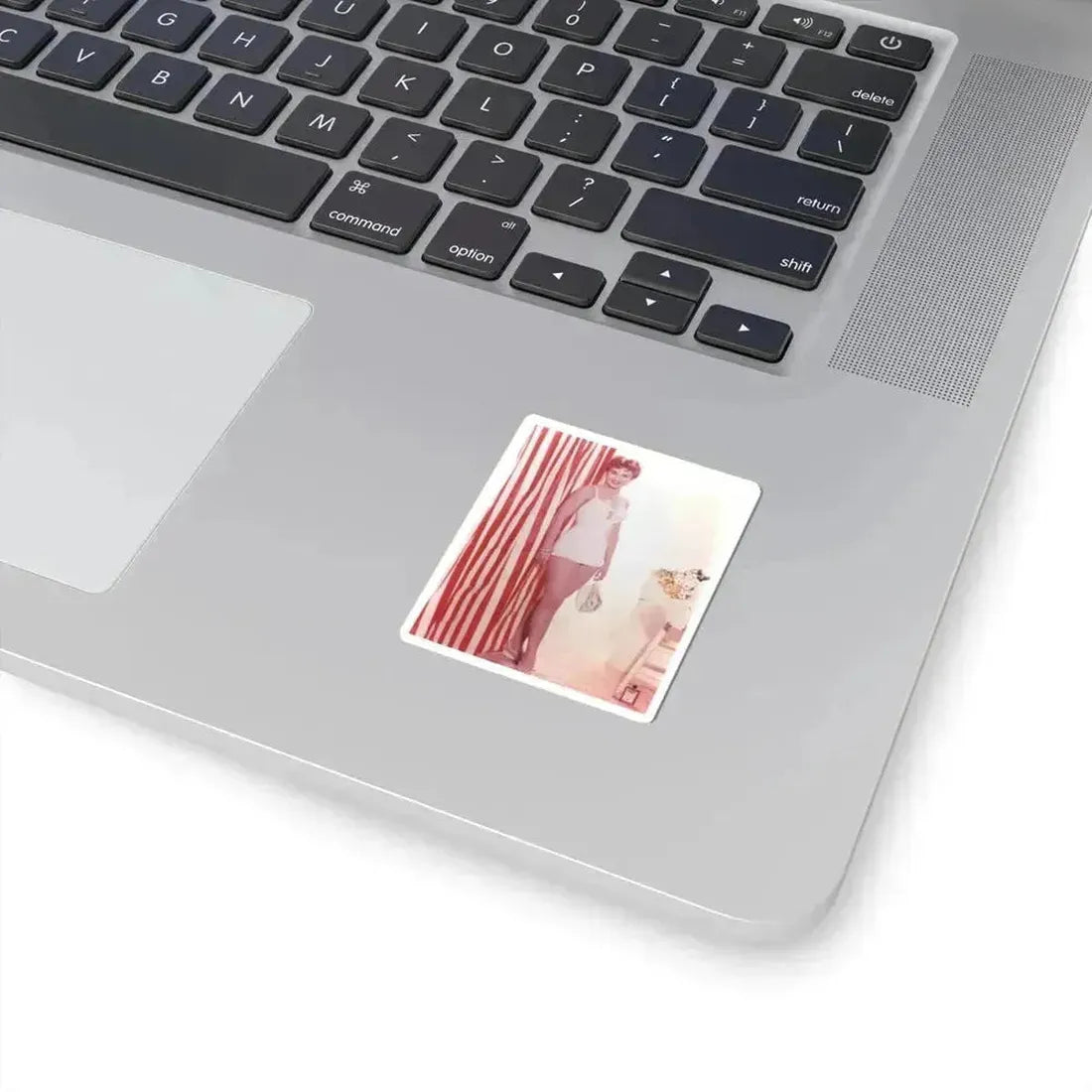 Debra Paget #41 (Vintage Female Icon) STICKER Vinyl Kiss-Cut Decal - The Sticker Space