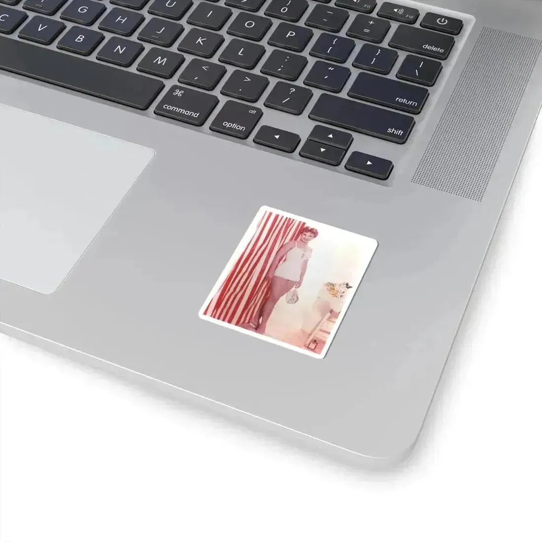 Debra Paget #41 (Vintage Female Icon) STICKER Vinyl Kiss-Cut Decal - The Sticker Space