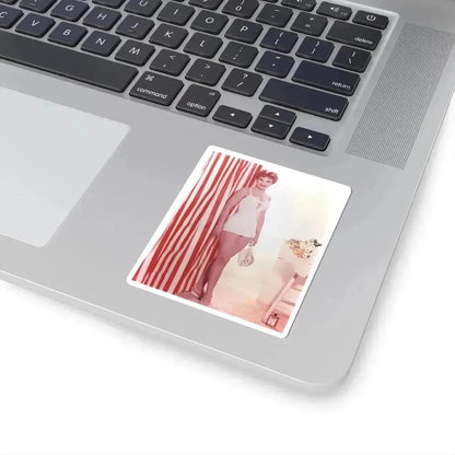 Debra Paget #41 (Vintage Female Icon) STICKER Vinyl Kiss-Cut Decal - The Sticker Space
