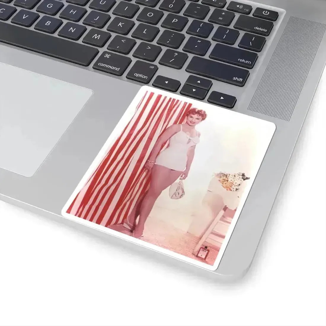 Debra Paget #41 (Vintage Female Icon) STICKER Vinyl Kiss-Cut Decal - The Sticker Space