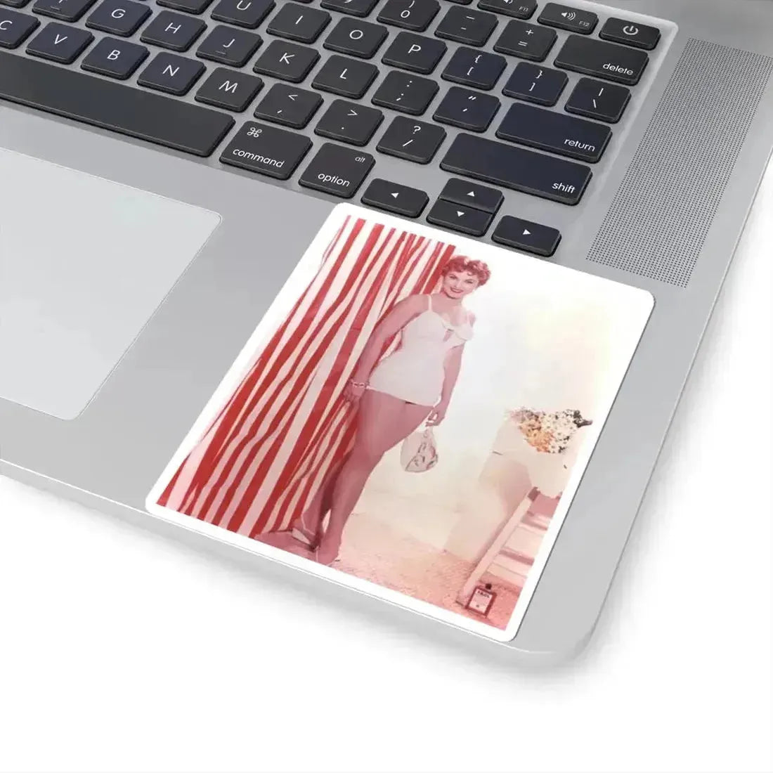 Debra Paget #41 (Vintage Female Icon) STICKER Vinyl Kiss-Cut Decal - The Sticker Space