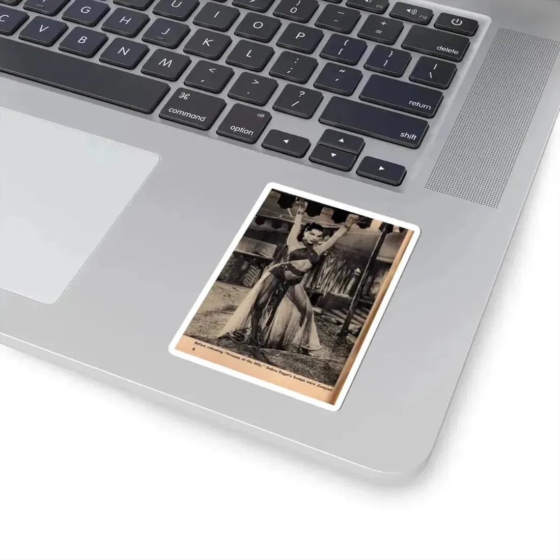 Debra Paget #413 - Show Mag. '55 - 1 B&W Photo (Vintage Female Icon) STICKER Vinyl Kiss-Cut Decal - The Sticker Space