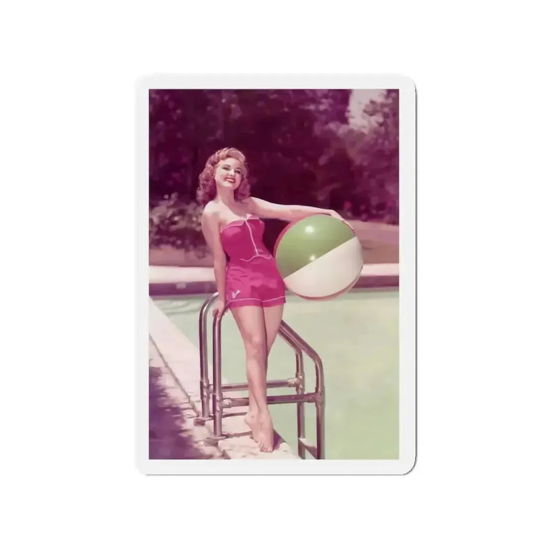 Debra Paget #448 2 (Vintage Female Icon) Refrigerator Magnet - The Sticker Space