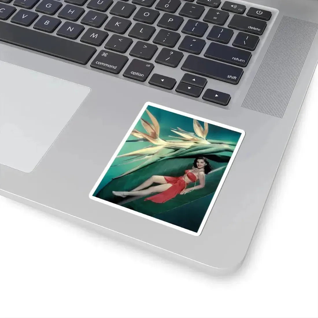 Debra Paget #456 2 (Vintage Female Icon) STICKER Vinyl Kiss-Cut Decal - The Sticker Space