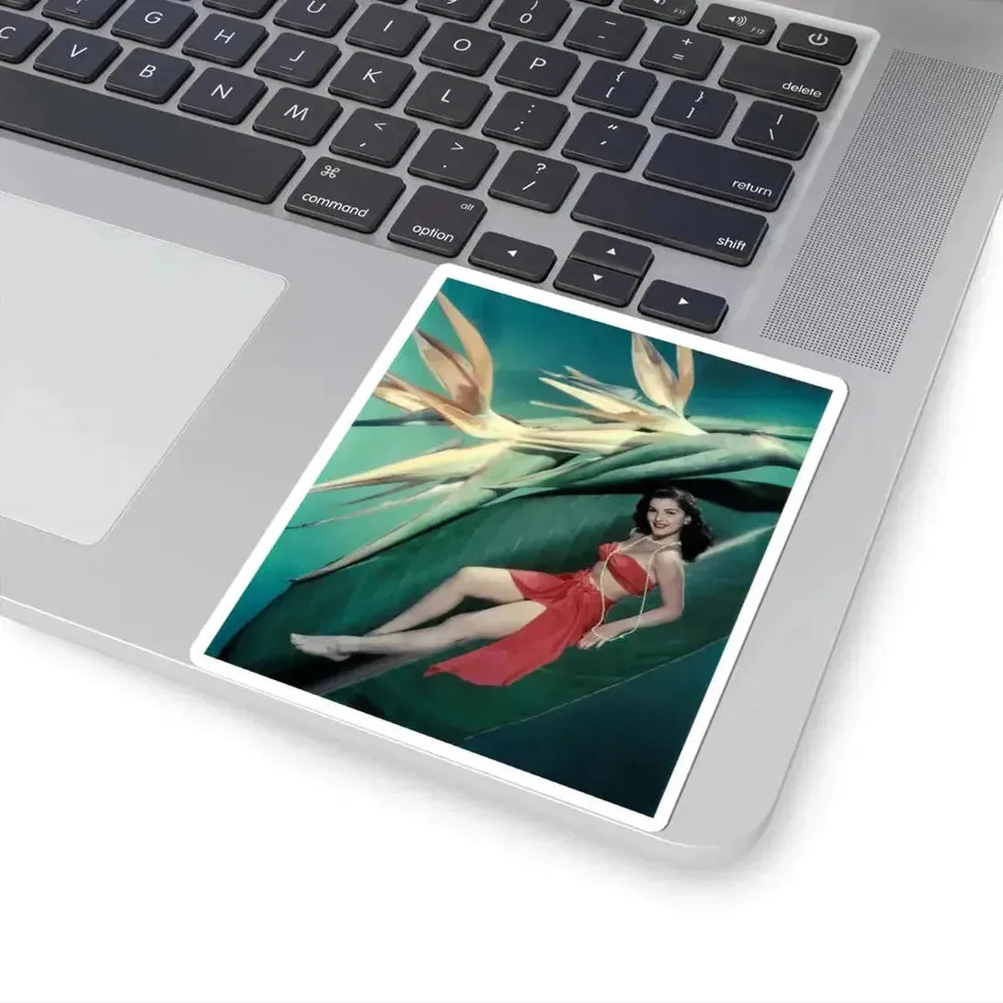 Debra Paget #456 2 (Vintage Female Icon) STICKER Vinyl Kiss-Cut Decal - The Sticker Space