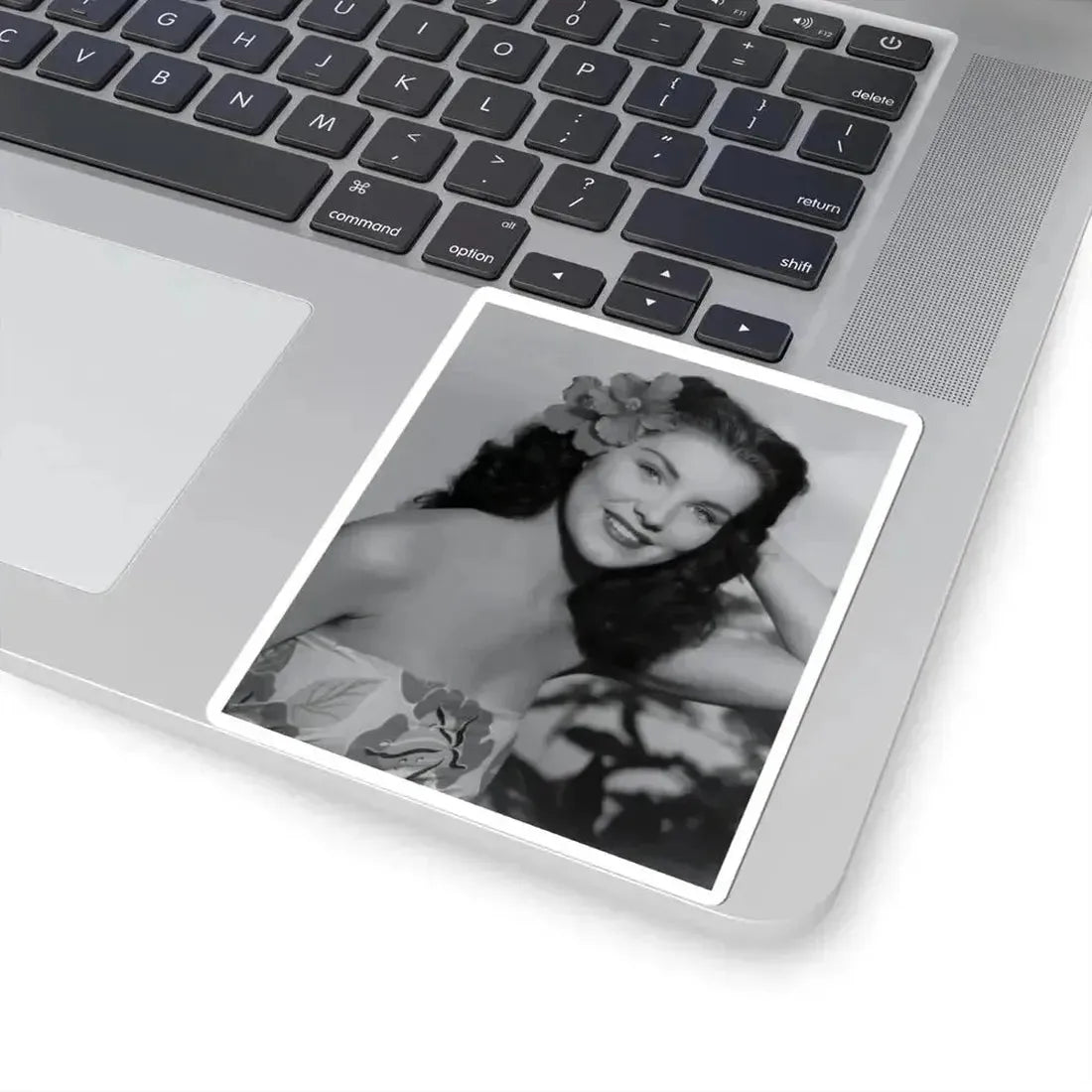 Debra Paget #49 1 (Vintage Female Icon) STICKER Vinyl Kiss-Cut Decal - The Sticker Space