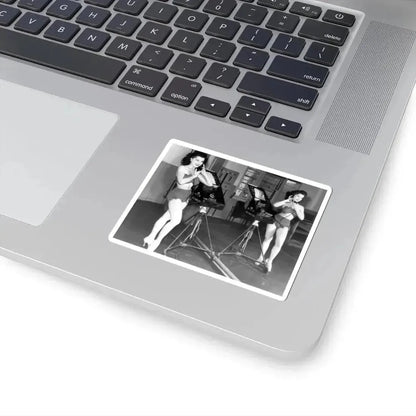 Debra Paget #493 (Vintage Female Icon) STICKER Vinyl Kiss-Cut Decal - The Sticker Space